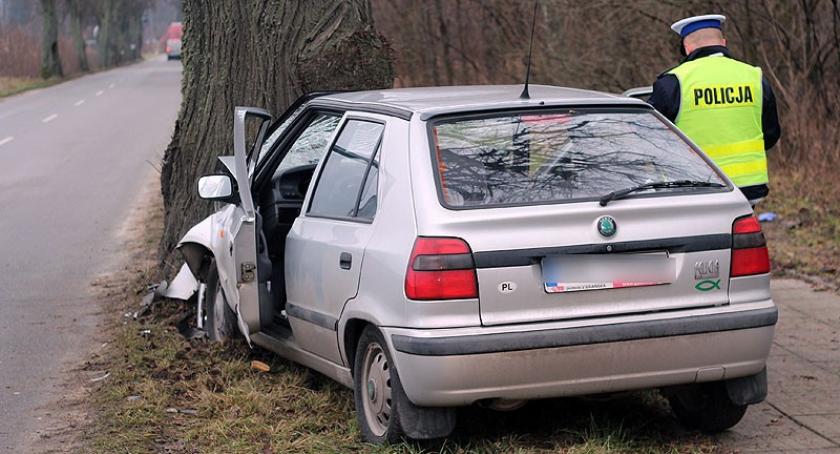 Leźno. Skoda uderzyła w drzewo - jedna osoba ranna