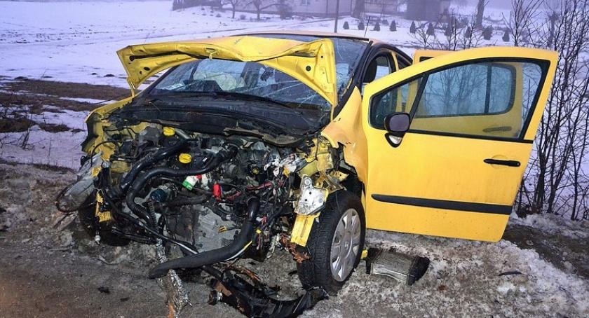 Egiertowo - Połęczyno. Renault rozbiło się na drzewie