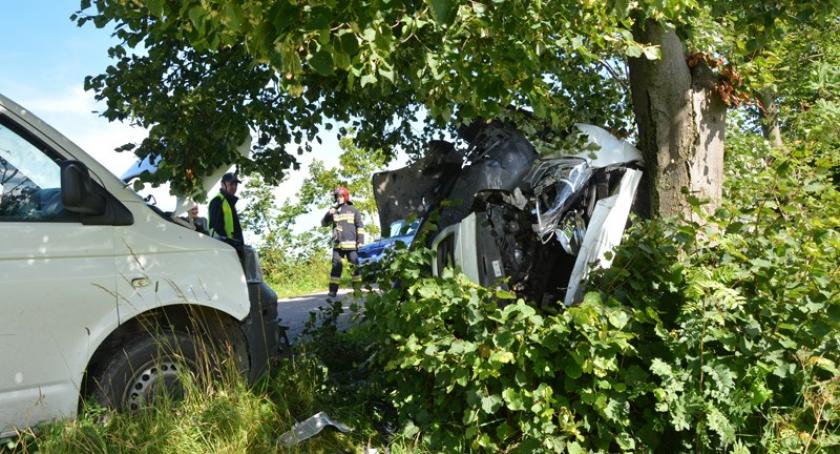 Borek Kamienny. Peugeot uderzył w drzewo po 