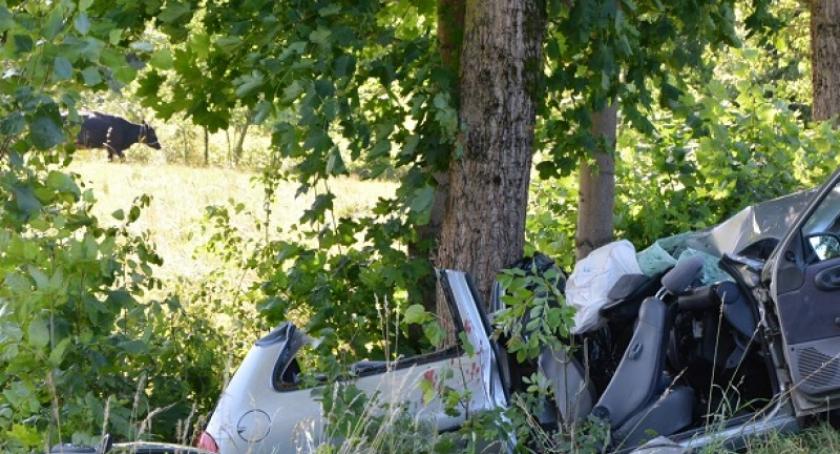 Mojusz. Zderzenie opla z busem - nie żyje 39-latka. Kierowca busa pijany
