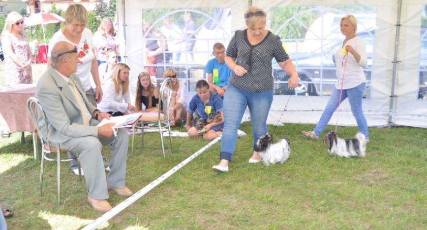 Somonino. Piękne czworonogi prezentowały się na I Wystawie Psów Rasowych