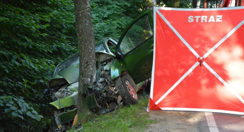 Śmiertelny wypadek na trasie Kartuzy-Sierakowice. Nie żyje 64-letni mężczyzna