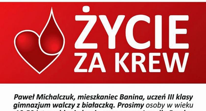 Oddaj krew dla Pawła