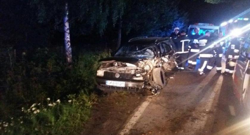 Wygoda Sierakowska. VW Passat uderzył w drzewo