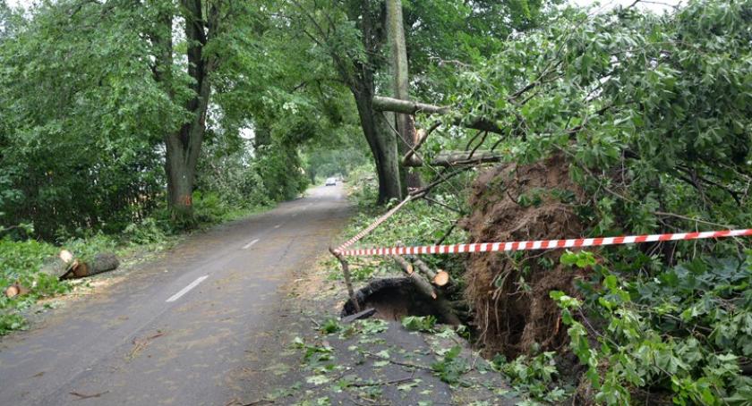 Krajobraz po burzy - powalone drzewa, zerwany asfalt, brak prądu