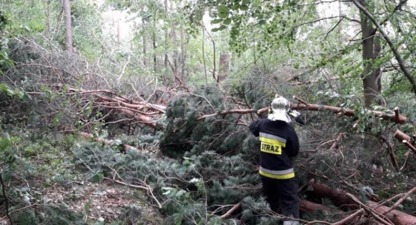 Strażacy trzeci dzień walczą z usuwaniem skutków nawałnicy. Straty są ogromne