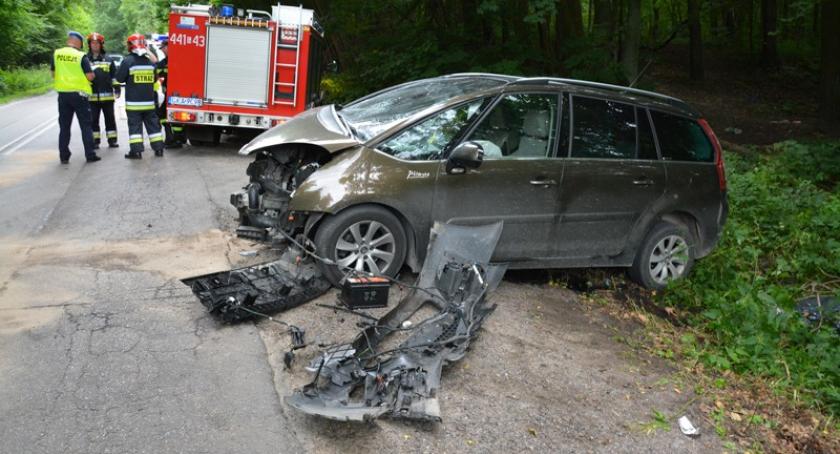 Leźno. Citroenem uderzył w drzewo
