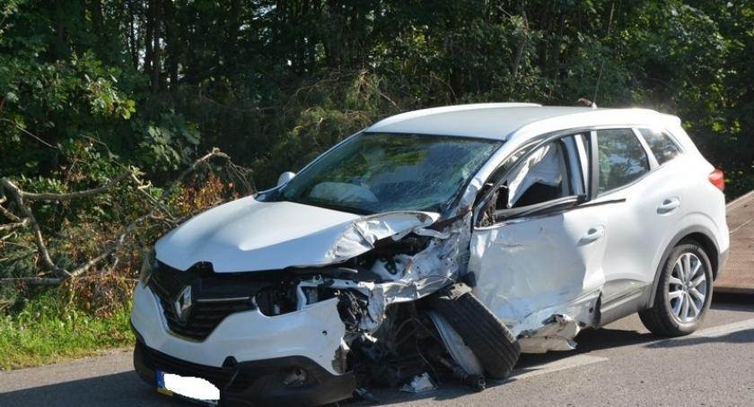 Sulęczyno. Renault uderzyło w drzewo - dwie osoby w szpitalu