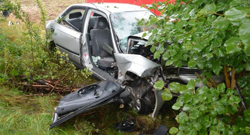 Mrozy. Honda rozbiła się na drzewie - nie żyje 40-latek