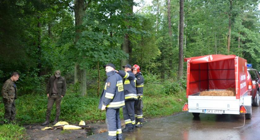 Wyciek paliwa na Burchardztwie - interweniowali strażacy