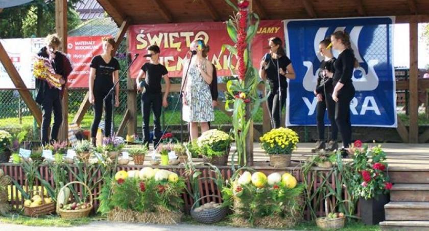 Lisie Jamy. Święto ziemniaka 2017 r. za nami