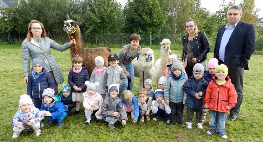 Żukowo. Tydzień Zwierząt w przedszkolu i żłobku Bocianowo