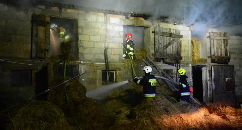 Pożar budynku gospodarczego z chlewnią w Mezowie