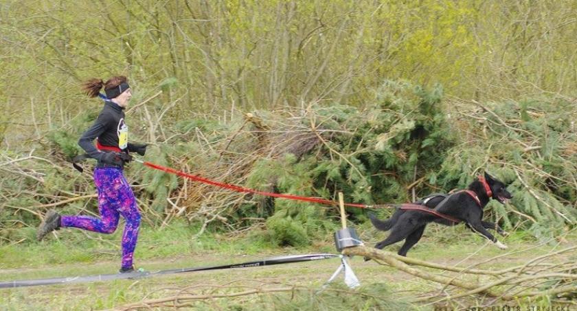 Canicross w Sierakowicach! Zapisz się i przyjdź na trening!