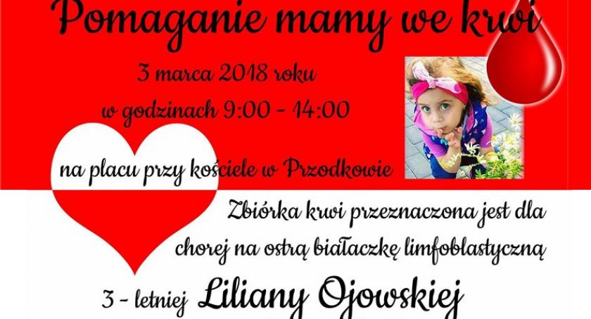 3-letnia Liliana z Brzezin walczy z białaczką. Potrzebna krew!