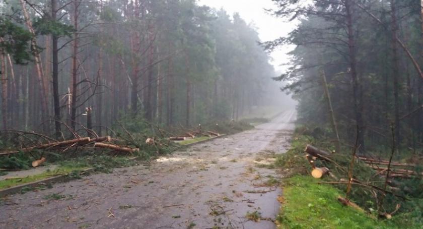Ponad milion złotych na odbudowę dróg po nawałnicy dla Sulęczyna
