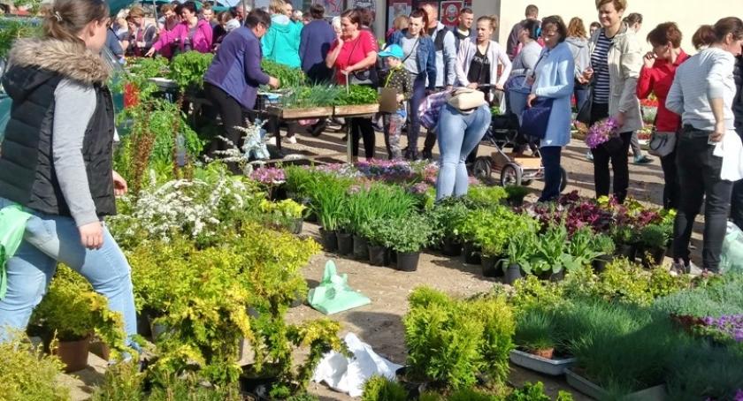 Trwa Święto Kwiatów w Sierakowicach