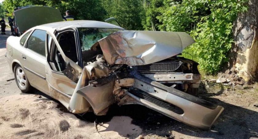Pałubice. Samochód uderzył w drzewo, kierowca oddalił się z miejsca