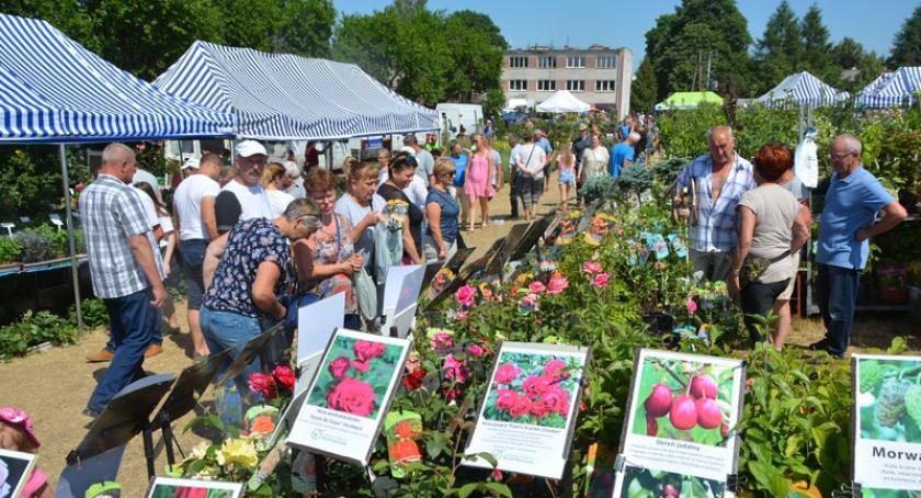 Pomorskie Agro Targi w Lubaniu tradycyjnie przyciągnęły tłumy