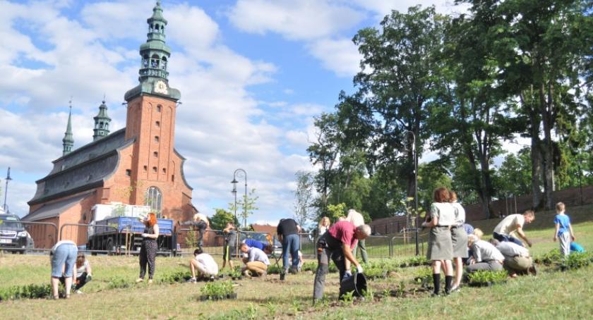 Kartuzy. Wspólnie zasadzili kwiaty przy Kolegiacie - powstanie tam park zasłużonych