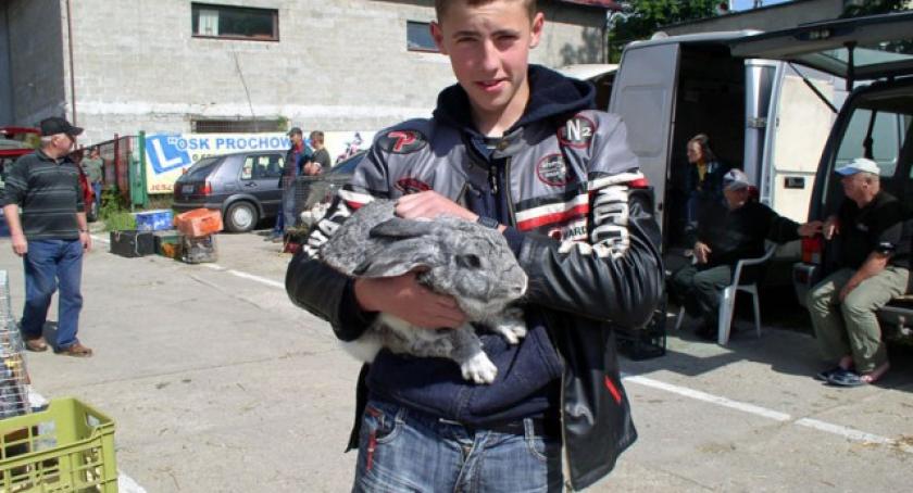 Żukowo. Targowisko zwierzęce ma się dobrze