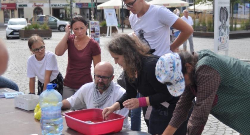 Kolejne spotkanie ze sztuką w Kartuzach