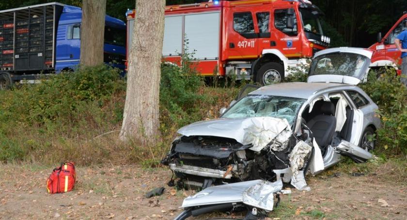 Ręboszewo. Audi rozbiło się na drzewie - w akcji LPR