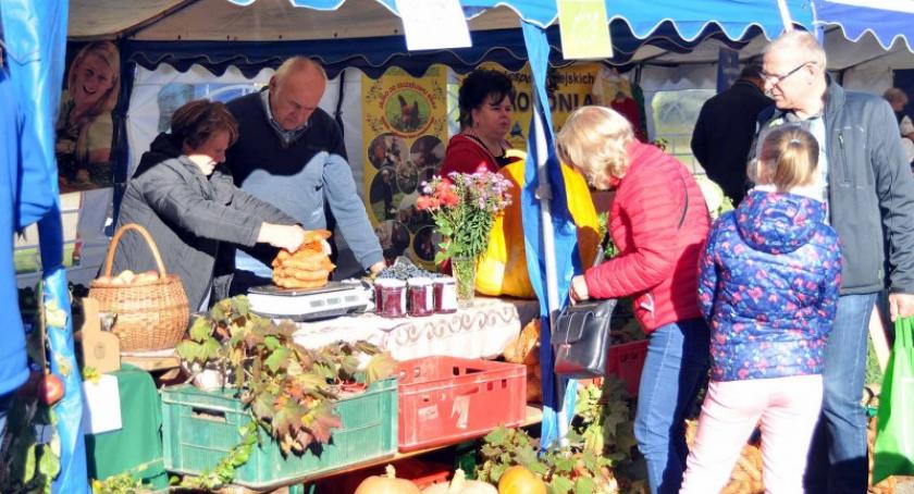 Trwa Kartuski Targ Produktów Ekologicznych 2018 - odwiedź Park Solidarności
