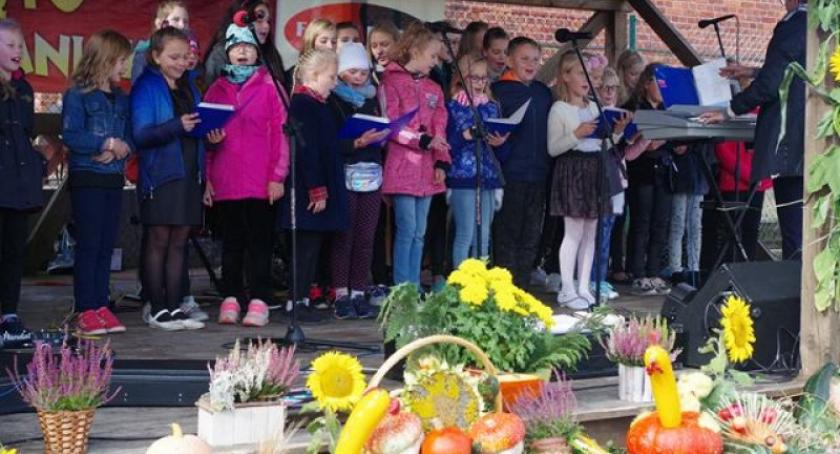 Lisie Jamy. Święto ziemniaka 2018 r. za nami