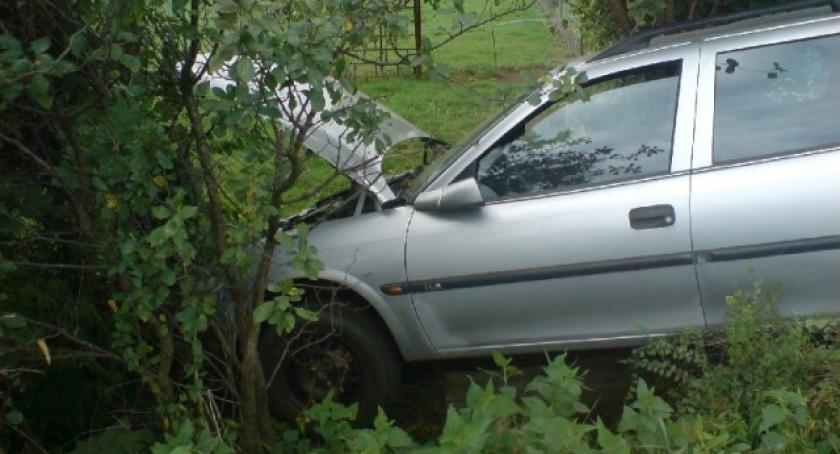 Chwaszczyno. Opel Vectra wjechał w krzaki