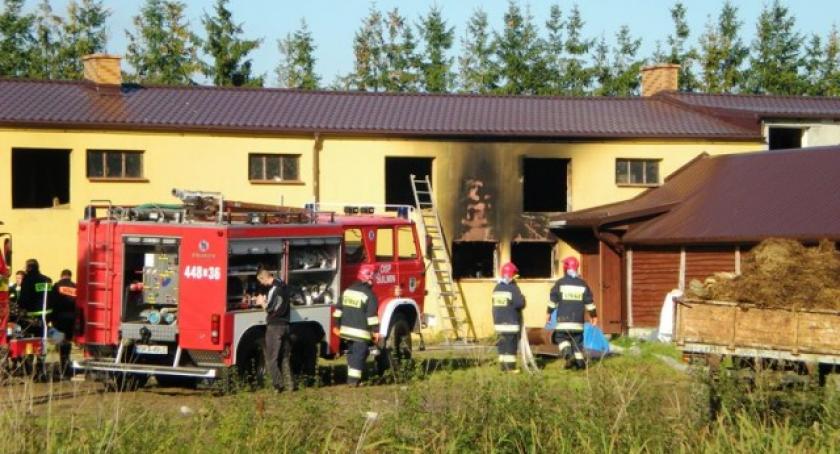Niestępowo. Pożar stajni