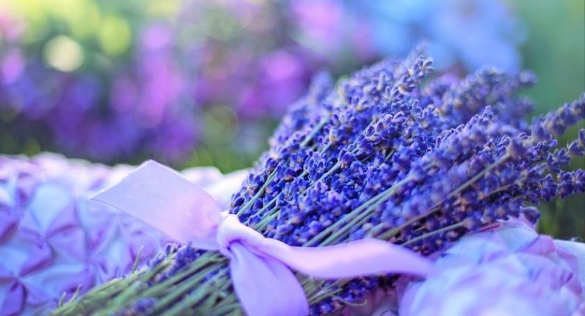 W niedzielę Dzień Matki - złóżcie życzenia swoim mamom na naszym portalu