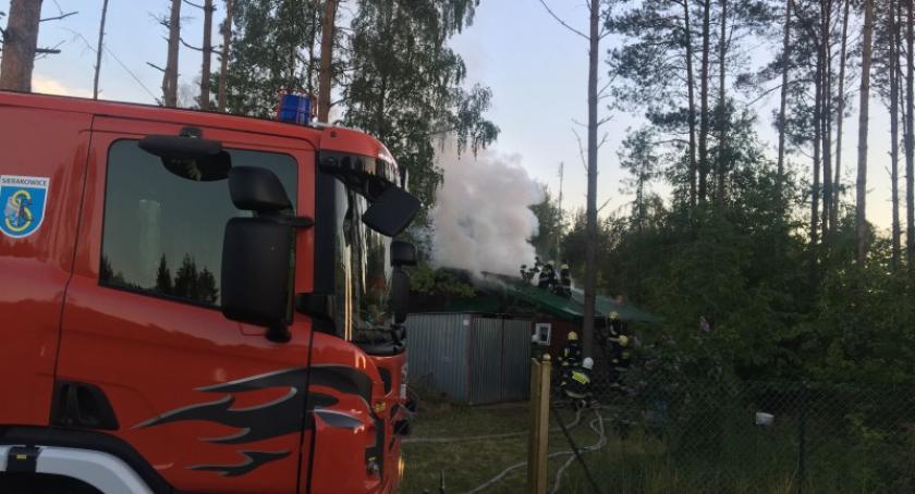 Pożar domku letniskowego w Kamienicy Królewskiej