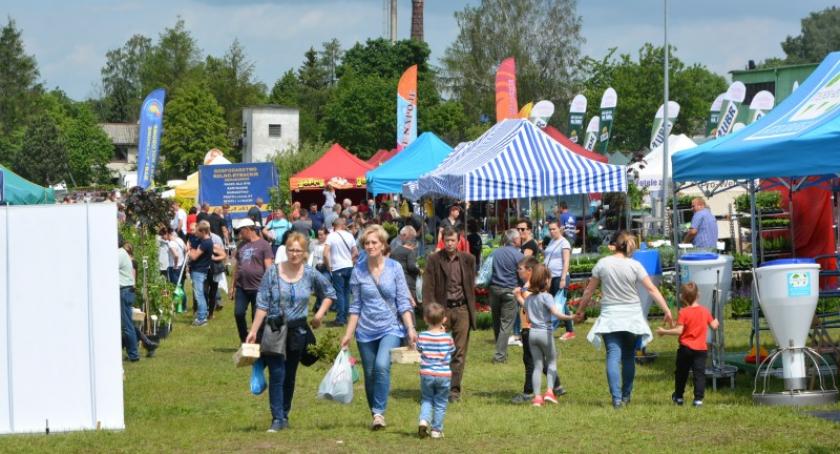 W Lubaniu trwają XXVIII Pomorskie Agro Targi