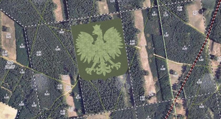 Leśny Orzeł trafi do Księgi Rekordów Guinnessa?