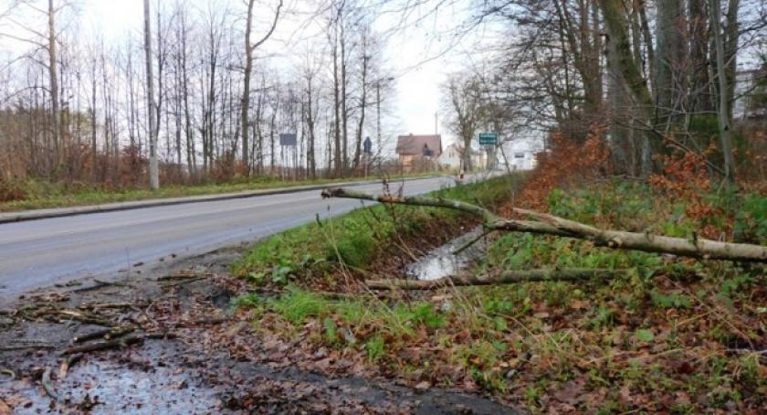 Energa informuje: Pracujemy pełną parą