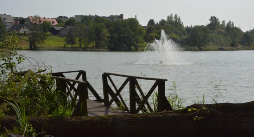 Niebezpieczne zdarzenie w trakcie Pikniku na Wyspie Łabędziej. Drzewo spadło na pomost