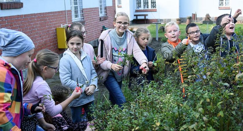 Jesienne porządki w kaszubskim ogrodzie - ciekawa akcja w kartuskim muzeum