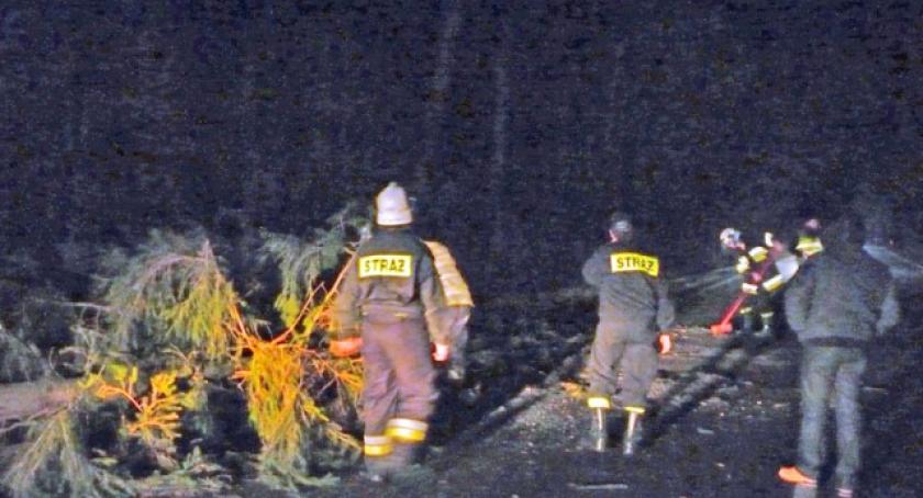 Hopowo. Trzy auta uszkodzone przez przewrócone drzewo