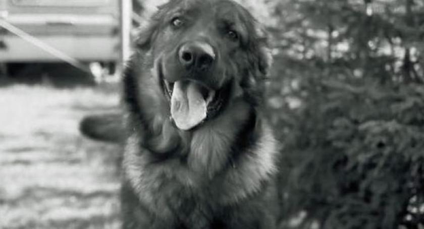 Powiat. 