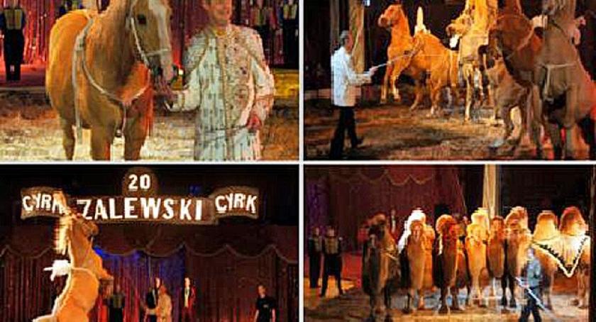 Konkurs. Zgarnij zaproszenie na Cyrk Zalewski!