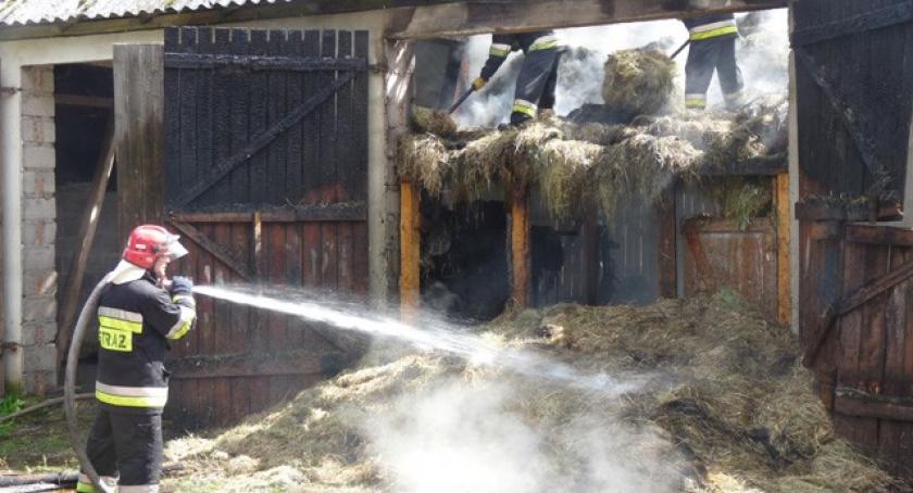 Pożar w gospodarstwie agroturystycznym pod Stężycą