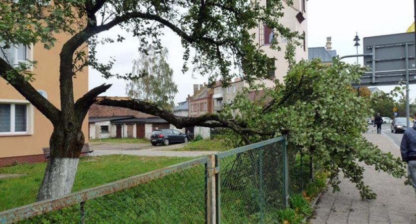 Powiało na Kaszubach - już kilkadziesiąt interwencji
