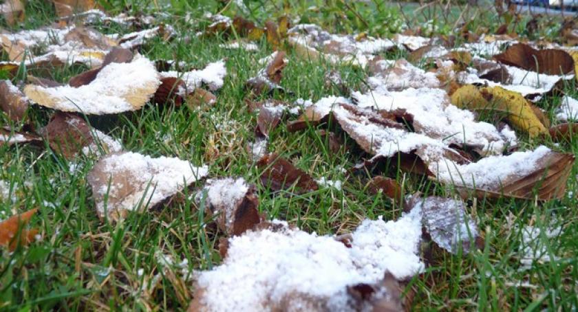 Zima dała pierwsze ostrzeżenie - drogowcy gotowi?