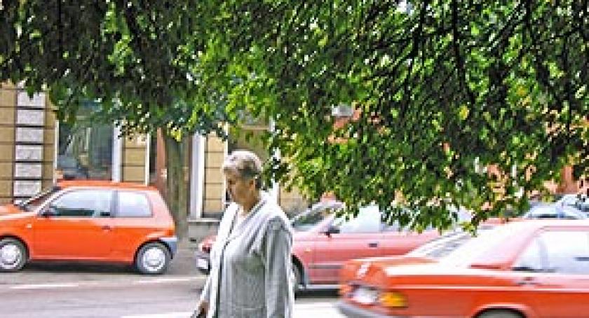 Można stracić oko! Czyje to drzewo?
