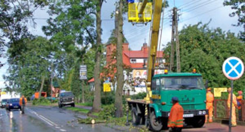 Drzewo przygniotło samochód. Tragiczne żniwo wypadków