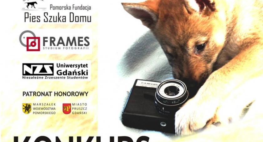 Weź udział w konkursie 