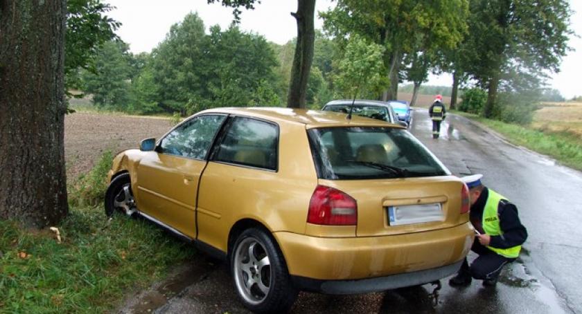 Załęże. Audi zakończyło podróż na drzewie
