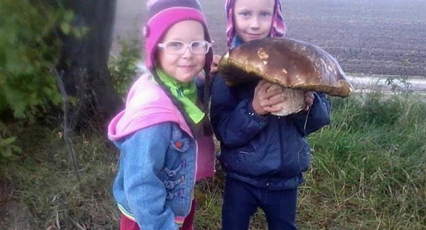 Grzybobranie w pełni - kolejne giganty z kaszubskich lasów