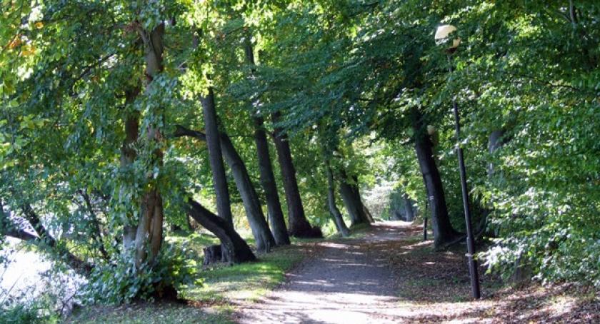 Kartuzy. Oświetlenie w Gaju Świętopełka? Nieprędko